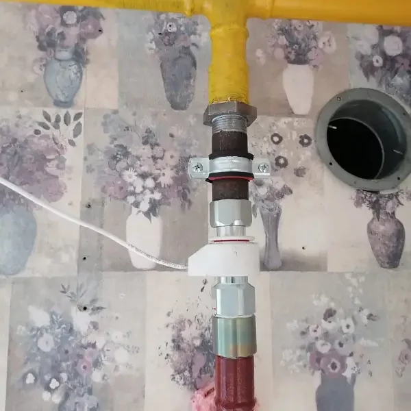 PHOTO-2025-04-24-19-28-57 3